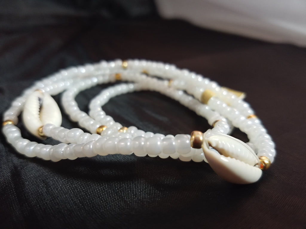 White and Cowrie shells