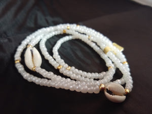 White and Cowrie shells